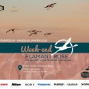 Week-end Flamant Rose 24 & 25 janvier 2025 / Les Rendez-vous photo de Camargue